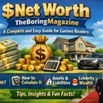 Net Worth TheBoringMagazine